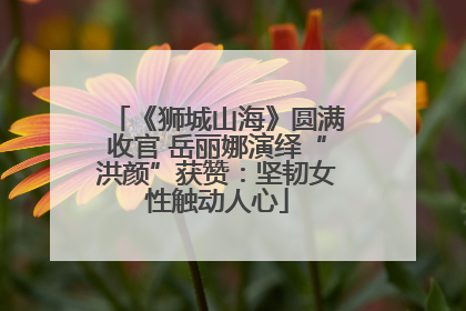 《狮城山海》圆满收官 岳丽娜演绎“洪颜”获赞：坚韧女性触动人心
