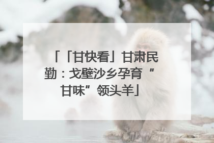 「甘快看」甘肃民勤：戈壁沙乡孕育“甘味”领头羊