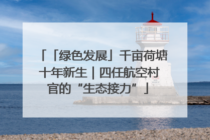 「绿色发展」千亩荷塘 十年新生｜四任航空村官的“生态接力”