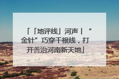 「地评线」河声丨“金针”巧穿千根线，打开善治河南新天地
