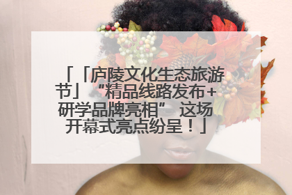「庐陵文化生态旅游节」“精品线路发布+研学品牌亮相” 这场开幕式亮点纷呈！