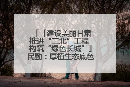 「建设美丽甘肃 推进“三北”工程 构筑“绿色长城”」民勤：厚植生态底色 筑牢绿色屏障