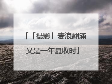 「摄影」麦浪翻涌 又是一年夏收时