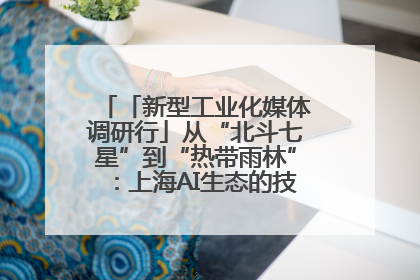 「新型工业化媒体调研行」从“北斗七星”到“热带雨林”：上海AI生态的技术商业共生密码
