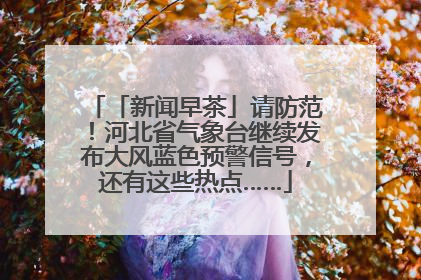 「新闻早茶」请防范！河北省气象台继续发布大风蓝色预警信号，还有这些热点……