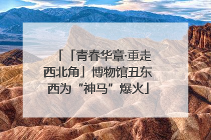 「青春华章·重走西北角」博物馆丑东西为“神马”爆火