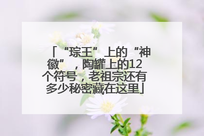 “琮王”上的“神徽”，陶罐上的12个符号，老祖宗还有多少秘密藏在这里