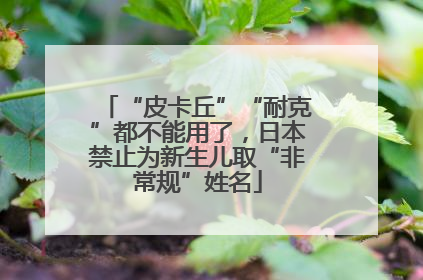 “皮卡丘”“耐克”都不能用了，日本禁止为新生儿取“非常规”姓名