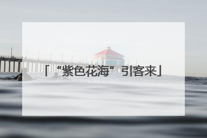 “紫色花海”引客来