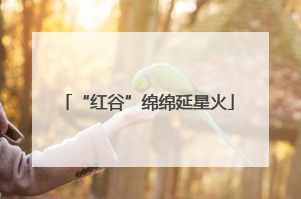 “红谷”绵绵延星火