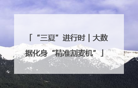 “三夏”进行时｜大数据化身“精准割麦机”