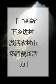 “两新”下乡进村 激活农村市场消费新活力