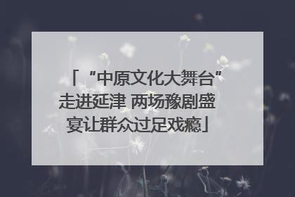 “中原文化大舞台”走进延津 两场豫剧盛宴让群众过足戏瘾