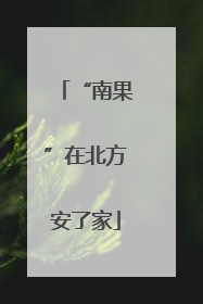 “南果”在北方安了家