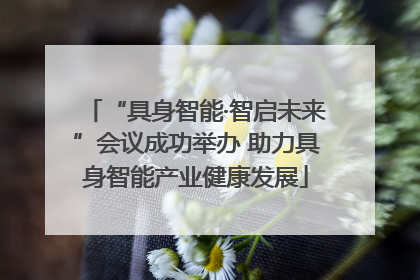 “具身智能·智启未来”会议成功举办 助力具身智能产业健康发展