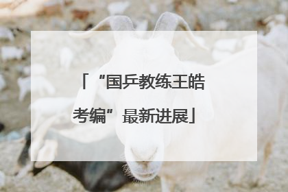 “国乒教练王皓考编”最新进展