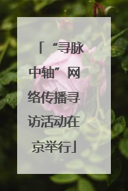 “寻脉中轴”网络传播寻访活动在京举行
