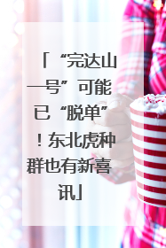 “完达山一号”可能已“脱单”！东北虎种群也有新喜讯