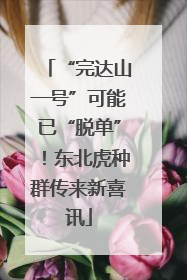 “完达山一号”可能已“脱单”！东北虎种群传来新喜讯
