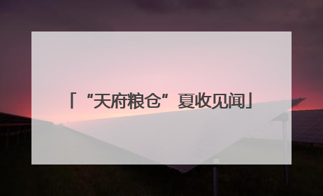 “天府粮仓”夏收见闻