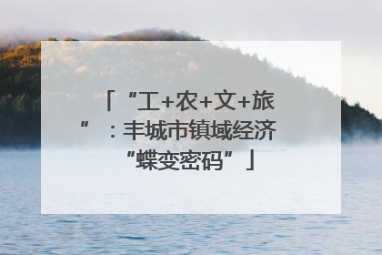 “工+农+文+旅”：丰城市镇域经济“蝶变密码”