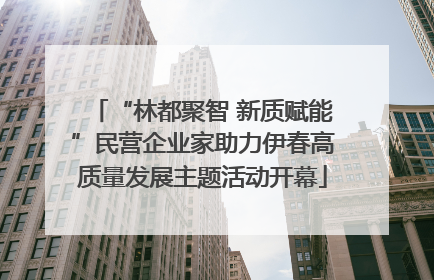 “林都聚智 新质赋能”民营企业家助力伊春高质量发展主题活动开幕
