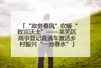 “政务春风”吹暖“致富沃土”——莱芜区商事登记直通车激活乡村振兴“一池春水”