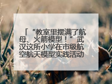 “教室里摆满了航母、火箭模型！”武汉这所小学在市级航空航天模型实践活动中获佳绩