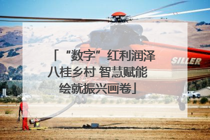“数字”红利润泽八桂乡村 智慧赋能绘就振兴画卷