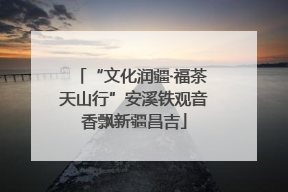 “文化润疆·福茶天山行”安溪铁观音香飘新疆昌吉