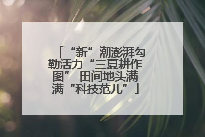 “新”潮澎湃勾勒活力“三夏耕作图” 田间地头满满“科技范儿”