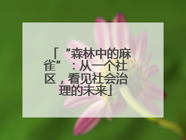 “森林中的麻雀”：从一个社区，看见社会治理的未来