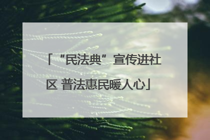 “民法典”宣传进社区 普法惠民暖人心
