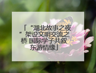 “湖北故事之夜”架设文明交流之桥 国际学子共叙东游情缘