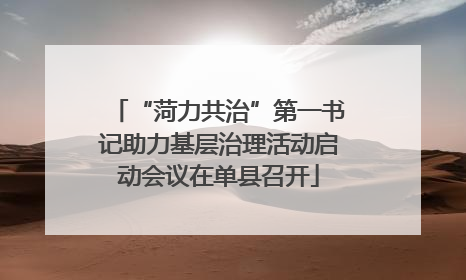 “菏力共治”第一书记助力基层治理活动启动会议在单县召开