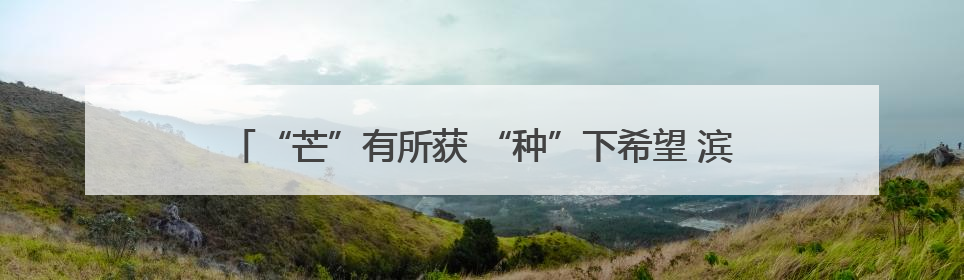 “芒”有所获 “种”下希望 滨州职业学院进行劳动实践教育活动