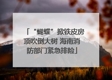 “蝴蝶”掀铁皮房顶吹倒大树 海南消防部门紧急排险
