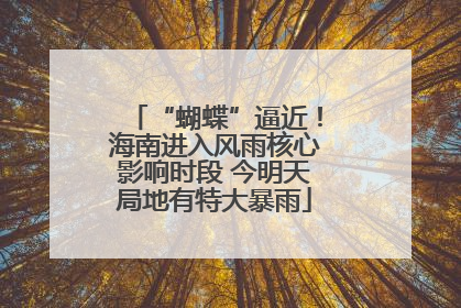 “蝴蝶”逼近！海南进入风雨核心影响时段 今明天局地有特大暴雨