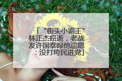 “街头小霸王”林正杰癌逝，老战友许国泰曝他遗愿：没打垮民进党