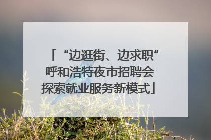 “边逛街、边求职” 呼和浩特夜市招聘会探索就业服务新模式