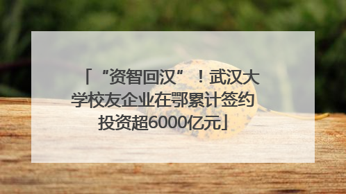 “资智回汉”！武汉大学校友企业在鄂累计签约投资超6000亿元