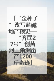 “金种子”改写盐碱地产粮史——“齐民27号”创黄河三角洲亩产1200斤奇迹