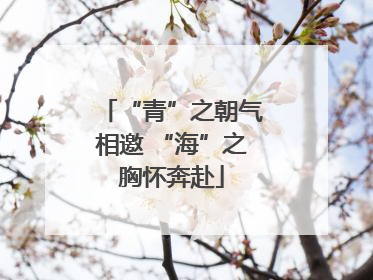 “青”之朝气相邀 “海”之胸怀奔赴