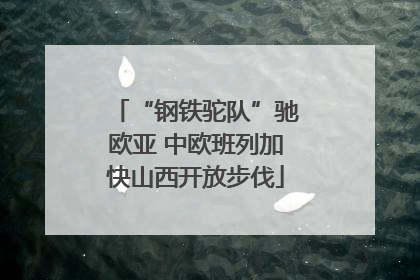 “钢铁驼队”驰欧亚 中欧班列加快山西开放步伐