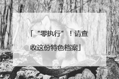“零执行”！请查收这份特色档案