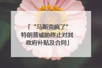 “马斯克疯了” 特朗普威胁终止对其政府补贴及合同