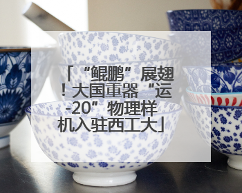 “鲲鹏”展翅！大国重器“运-20”物理样机入驻西工大