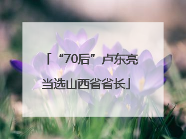 “70后”卢东亮当选山西省省长