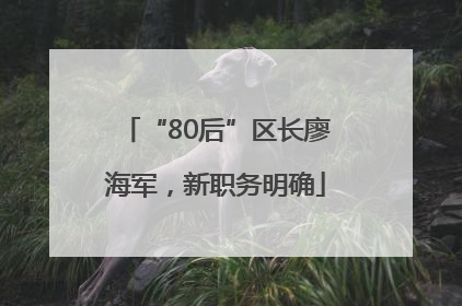 “80后”区长廖海军，新职务明确