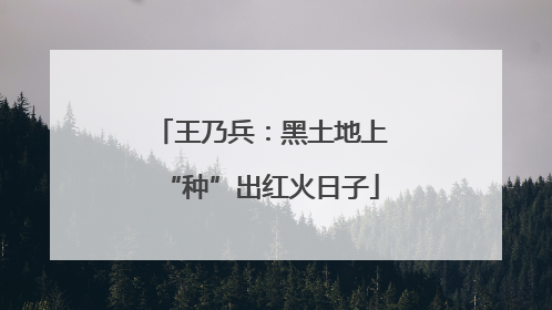 王乃兵：黑土地上“种”出红火日子